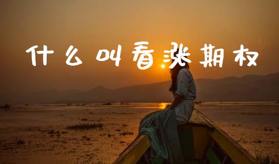 什么叫看涨期权_https://wap.lxcailiao.com_金融监管_第1张