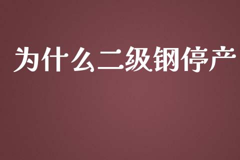 为什么二级钢停产_https://wap.lxcailiao.com_融资担保_第1张