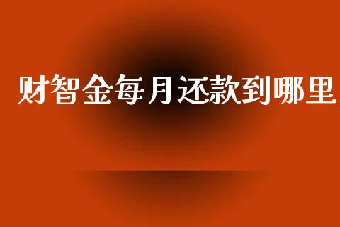 财智金每月还款到哪里_https://wap.lxcailiao.com_财务管理_第1张