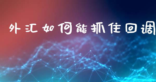 外汇如何能抓住回调_https://wap.lxcailiao.com_金融监管_第1张