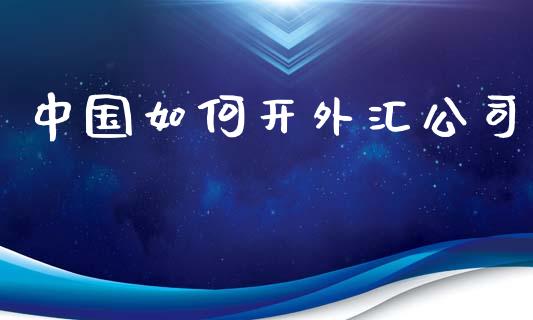 中国如何开外汇公司_https://wap.lxcailiao.com_金融监管_第1张