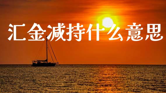 汇金减持什么意思_https://wap.lxcailiao.com_财务管理_第1张