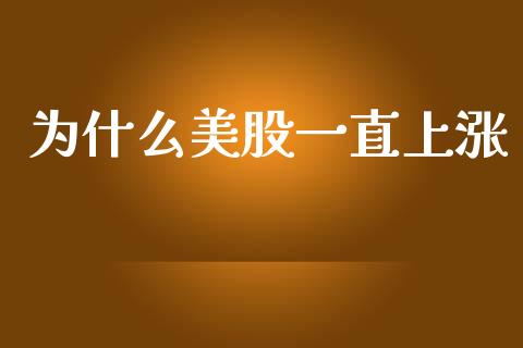 为什么美股一直上涨_https://wap.lxcailiao.com_融资担保_第1张