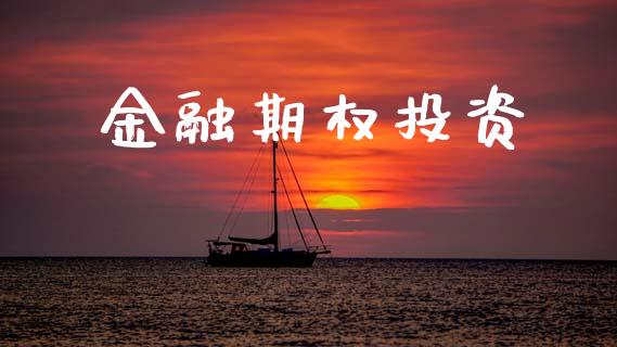 金融期权投资_https://wap.lxcailiao.com_融资担保_第1张