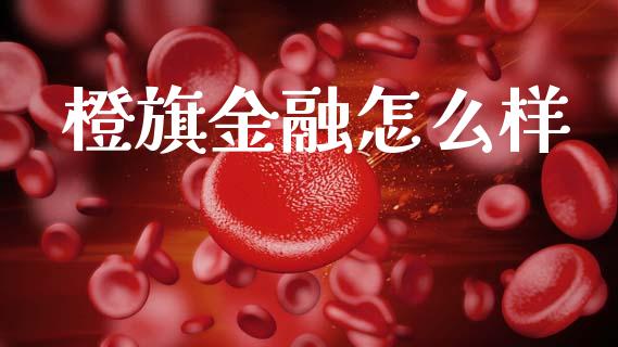 橙旗金融怎么样_https://wap.lxcailiao.com_融资担保_第1张