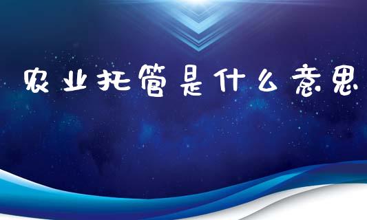 农业托管是什么意思_https://wap.lxcailiao.com_金融监管_第1张