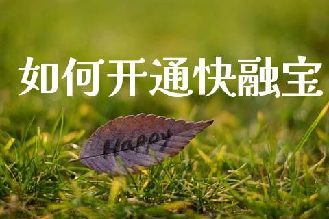 如何开通快融宝_https://wap.lxcailiao.com_融资担保_第1张