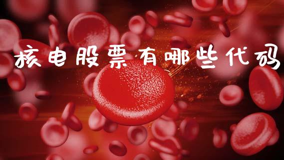 核电股票有哪些代码_https://wap.lxcailiao.com_财务管理_第1张