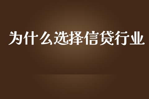 为什么选择信贷行业_https://wap.lxcailiao.com_融资担保_第1张