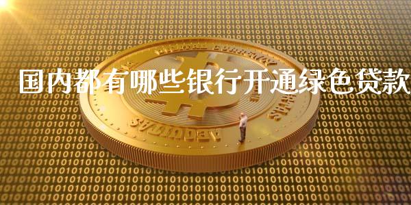 国内都有哪些银行开通绿色贷款_https://wap.lxcailiao.com_融资担保_第1张
