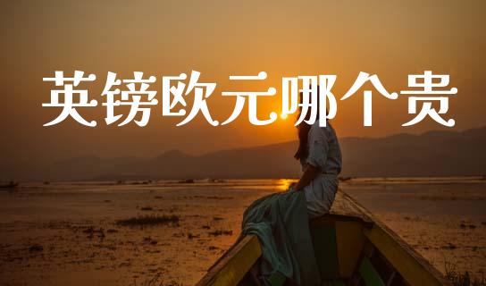 英镑欧元哪个贵_https://wap.lxcailiao.com_股权投资_第1张