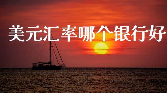 美元汇率哪个银行好_https://wap.lxcailiao.com_金融监管_第1张