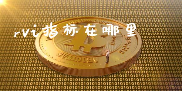 rvi指标在哪里_https://wap.lxcailiao.com_财务管理_第1张