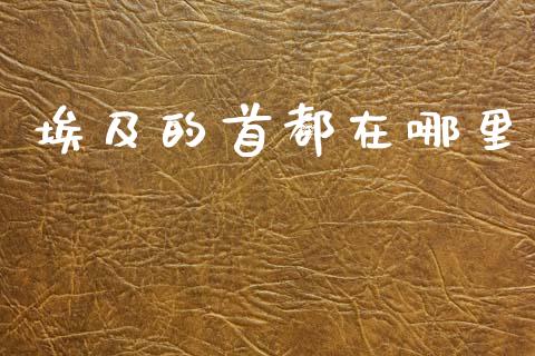 埃及的首都在哪里_https://wap.lxcailiao.com_金融监管_第1张