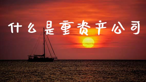 什么是重资产公司_https://wap.lxcailiao.com_金融监管_第1张