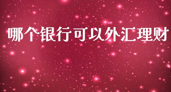 哪个银行可以外汇理财_https://wap.lxcailiao.com_财务管理_第1张
