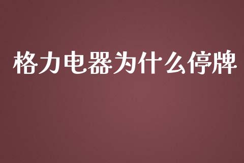 格力电器为什么停牌_https://wap.lxcailiao.com_金融监管_第1张