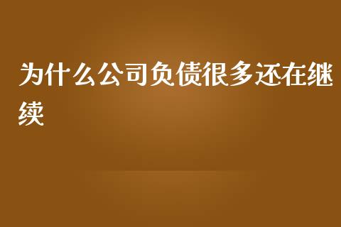为什么公司负债很多还在继续_https://wap.lxcailiao.com_融资担保_第1张