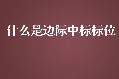 什么是边际中标标位_https://wap.lxcailiao.com_财务管理_第1张
