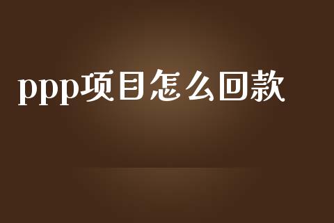 ppp项目怎么回款_https://wap.lxcailiao.com_金融监管_第1张