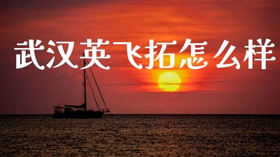 武汉英飞拓怎么样_https://wap.lxcailiao.com_金融监管_第1张