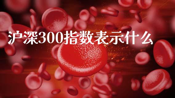 沪深300指数表示什么_https://wap.lxcailiao.com_融资担保_第1张