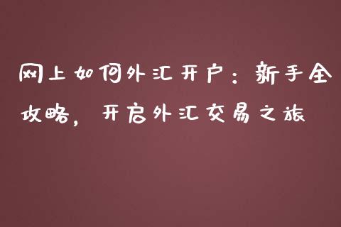 网上如何外汇开户：新手全攻略，开启外汇交易之旅_https://wap.lxcailiao.com_融资担保_第1张