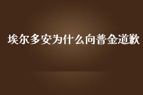 埃尔多安为什么向普金道歉_https://wap.lxcailiao.com_股权投资_第1张