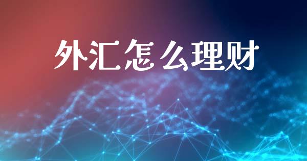 外汇怎么理财_https://wap.lxcailiao.com_金融监管_第1张