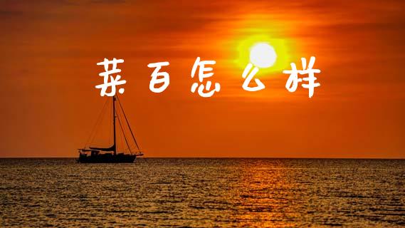 菜百怎么样_https://wap.lxcailiao.com_融资担保_第1张