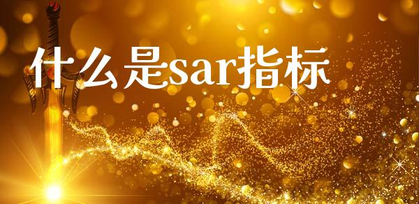 什么是sar指标_https://wap.lxcailiao.com_财务管理_第1张