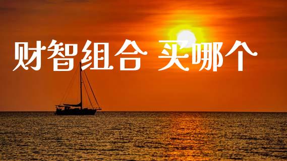 财智组合 买哪个_https://wap.lxcailiao.com_金融监管_第1张