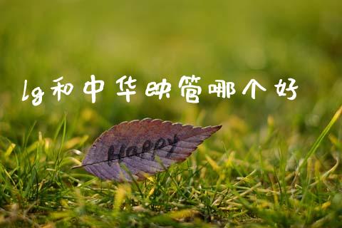 lg和中华映管哪个好_https://wap.lxcailiao.com_股权投资_第1张