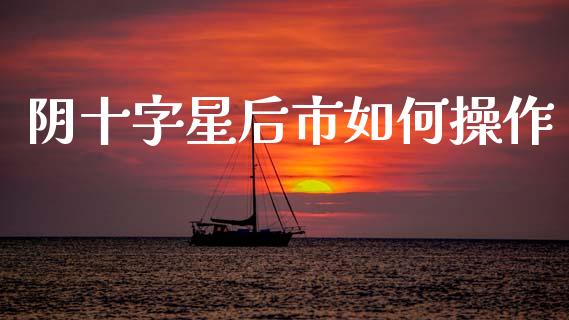 阴十字星后市如何操作_https://wap.lxcailiao.com_融资担保_第1张
