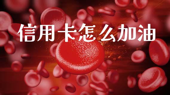 信用卡怎么加油_https://wap.lxcailiao.com_财务管理_第1张