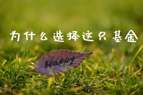 为什么选择这只基金_https://wap.lxcailiao.com_金融监管_第1张
