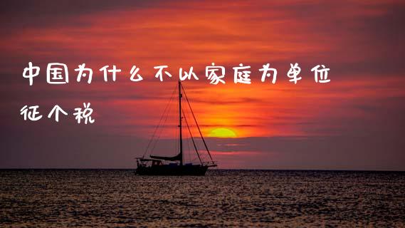 中国为什么不以家庭为单位征个税_https://wap.lxcailiao.com_融资担保_第1张