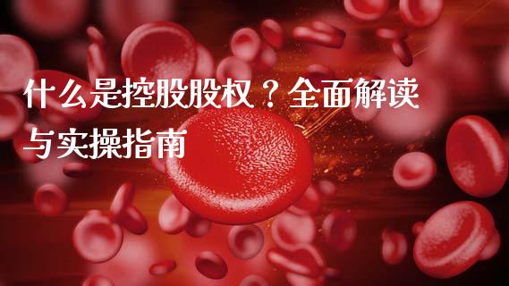 什么是控股股权？全面解读与实操指南_https://wap.lxcailiao.com_财务管理_第1张