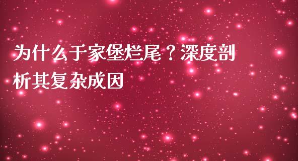 为什么于家堡烂尾？深度剖析其复杂成因_https://wap.lxcailiao.com_财务管理_第1张