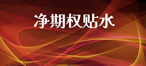 净期权贴水_https://wap.lxcailiao.com_融资担保_第1张