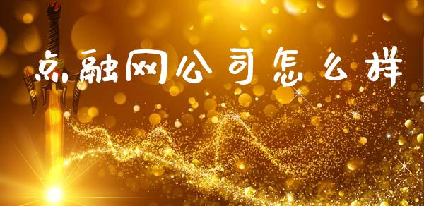 点融网公司怎么样_https://wap.lxcailiao.com_金融监管_第1张