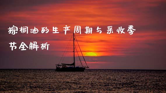 棕榈油的生产周期与采收季节全解析_https://wap.lxcailiao.com_金融监管_第1张