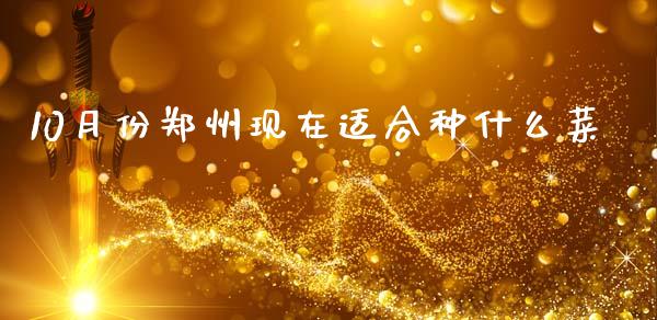 10月份郑州现在适合种什么菜_https://wap.lxcailiao.com_财务管理_第1张
