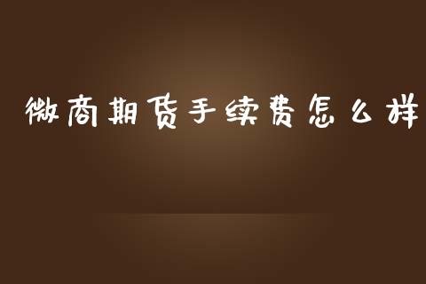 微商期货手续费怎么样_金融监管_第1张_金融监管_融资担保_财务管理_股权投资 微商期货手续费怎么样_https://wap.lxcailiao.com_金融监管_第1张