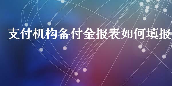 支付机构备付金报表如何填报_https://wap.lxcailiao.com_财务管理_第1张