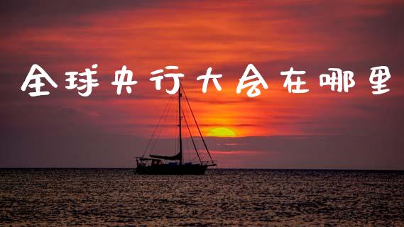 全球央行大会在哪里_https://wap.lxcailiao.com_融资担保_第1张
