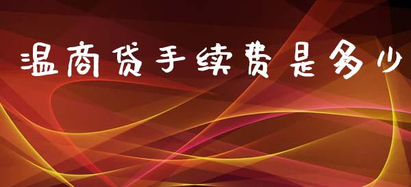 温商贷手续费是多少_https://wap.lxcailiao.com_金融监管_第1张