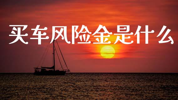 买车风险金是什么_https://wap.lxcailiao.com_财务管理_第1张