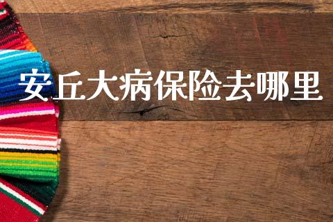 安丘大病保险去哪里_https://wap.lxcailiao.com_股权投资_第1张