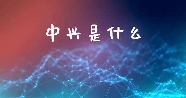 中兴是什么_https://wap.lxcailiao.com_股权投资_第1张